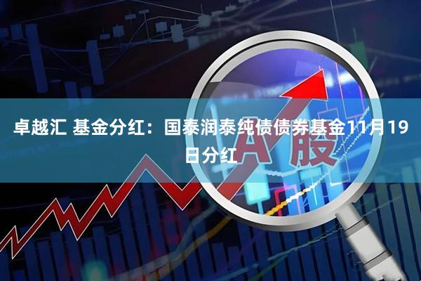 卓越汇 基金分红：国泰润泰纯债债券基金11月19日分红
