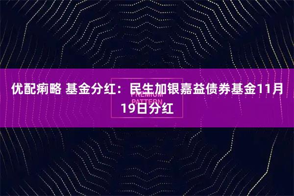 优配痢略 基金分红：民生加银嘉益债券基金11月19日分红